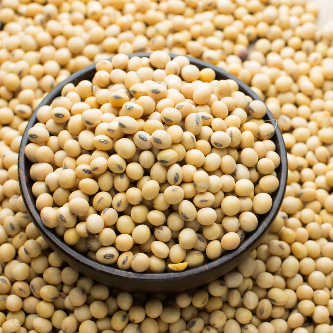 Soya fasulyesi (5)