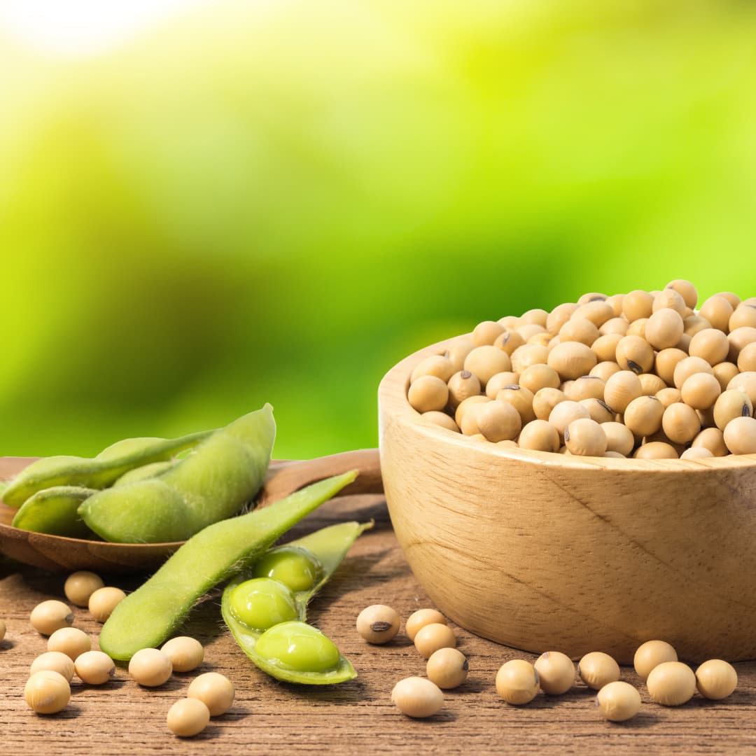 Soya fasulyesi